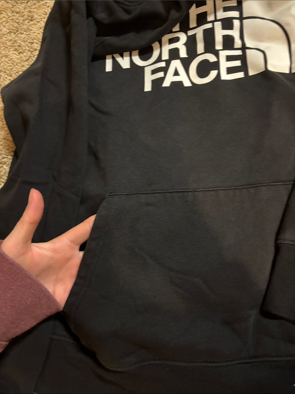 The North Face Black Hoodie with White Logo Graphic - Picture 4 of 5
